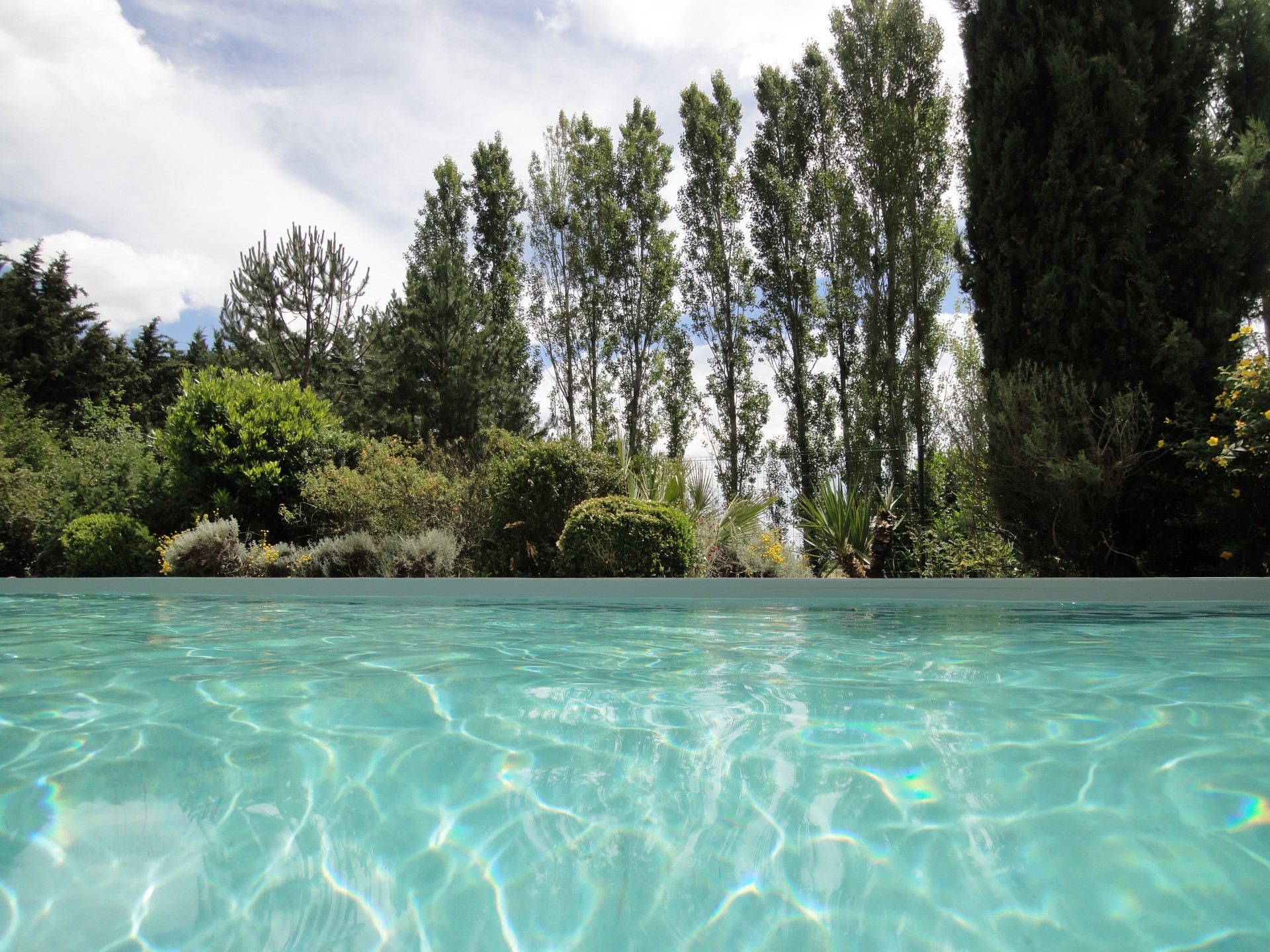 chambre hote piscine albi